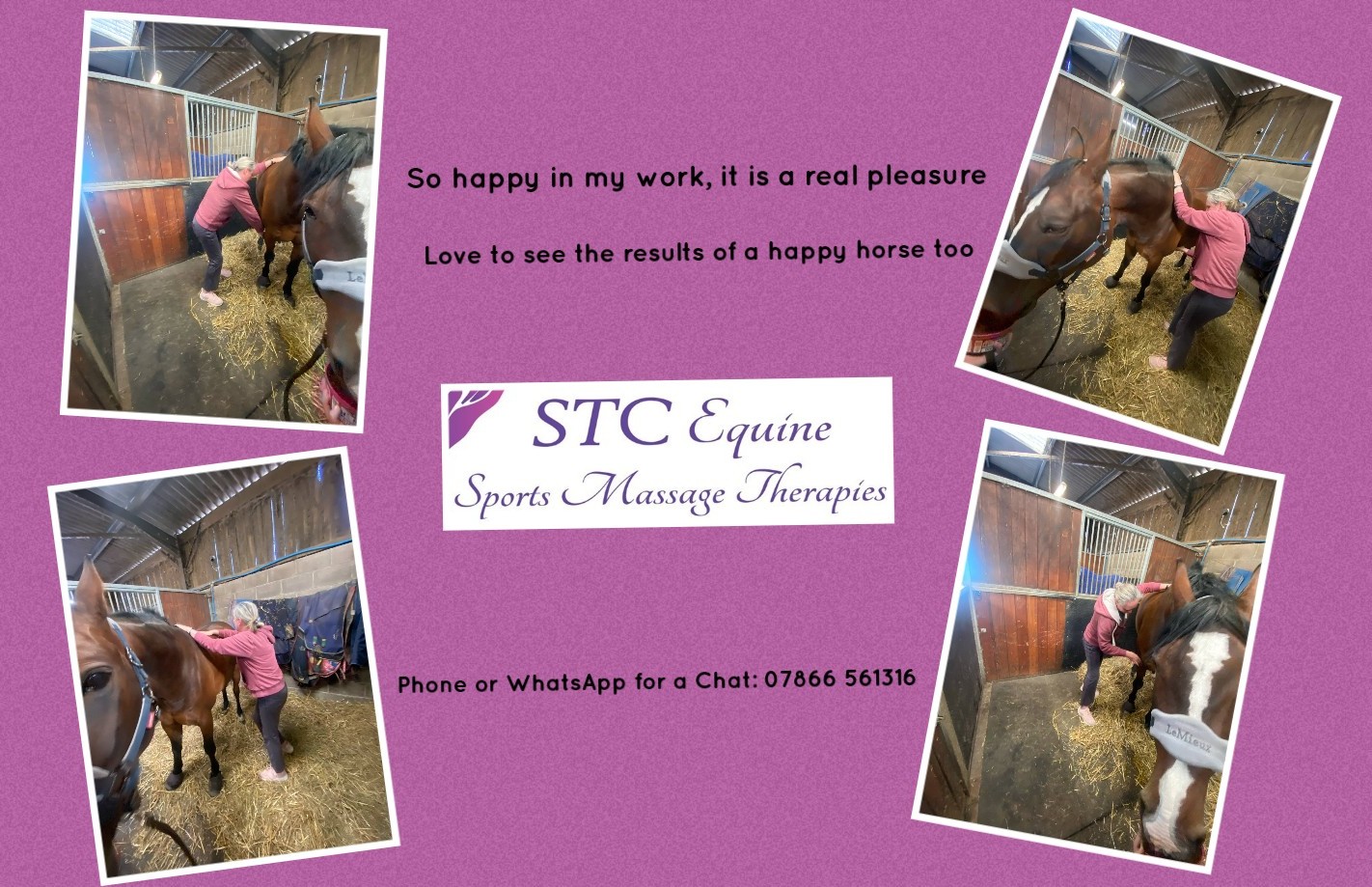 4 pic Collage Image of 4 pics of me with my horse