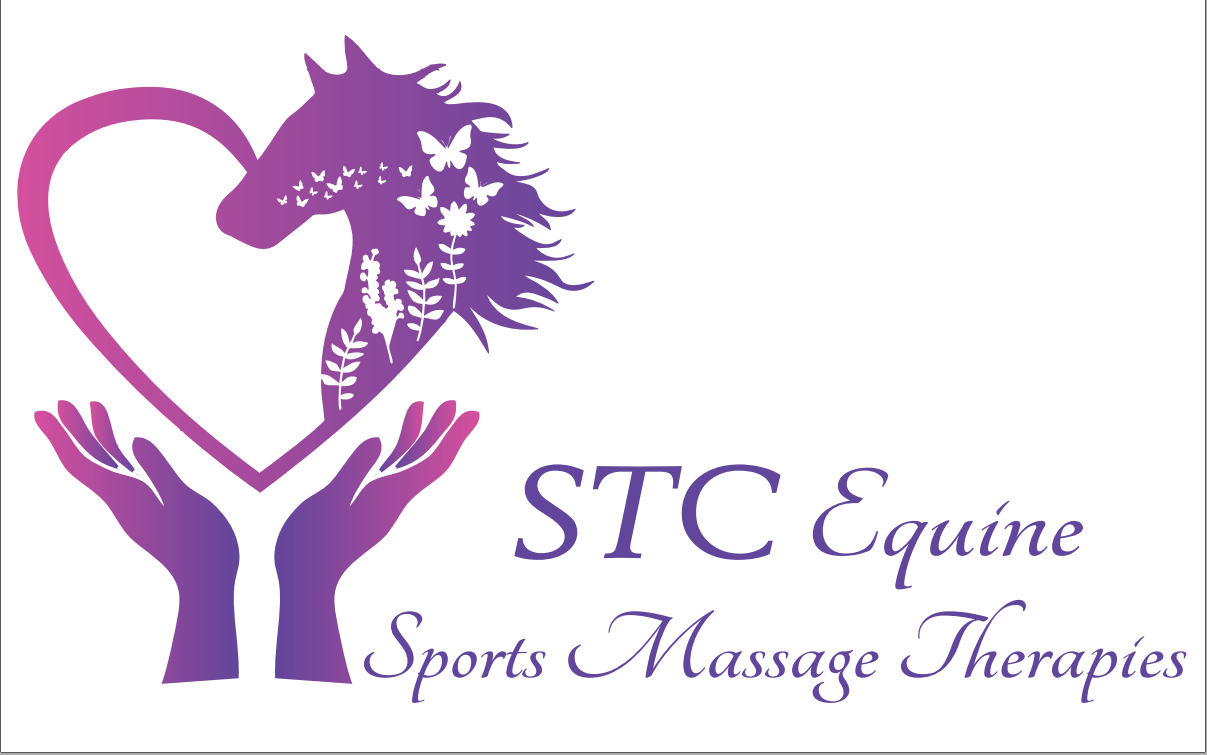 Image of Equine Sports Massage Therapies Logo