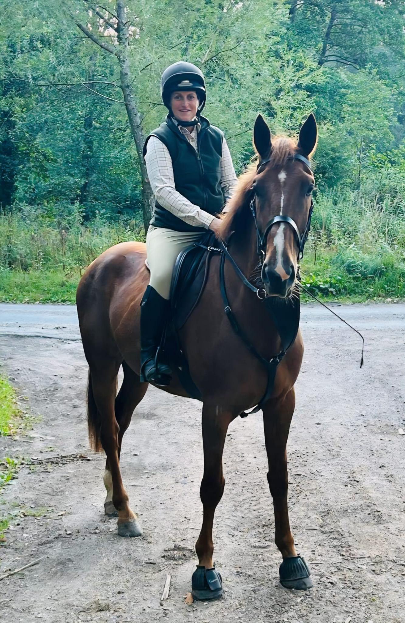Sam Image of a horse called Sam